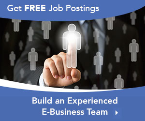 Build a Powerful E-Business team